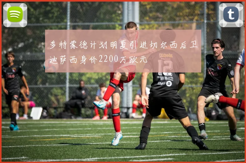 多特蒙德计划明夏引进切尔西后卫迪萨西身价2200万欧元