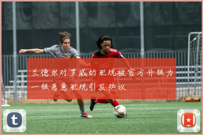 兰德尔对罗威的犯规被官方升级为一级恶意犯规引发热议