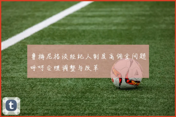 鲁梅尼格谈经纪人制度高佣金问题呼吁合理调整与改革